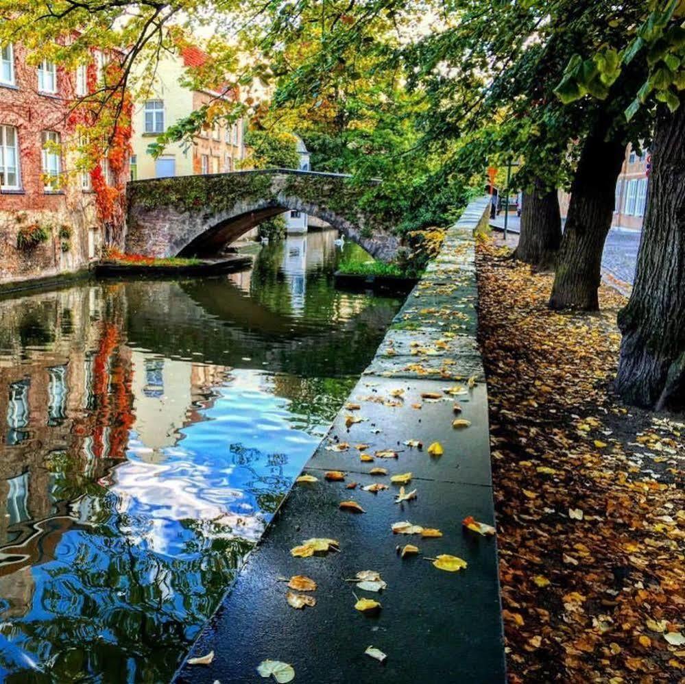 Guesthouse Dijver - Serene Escape In The Heart Of Historic Bruges Luaran gambar